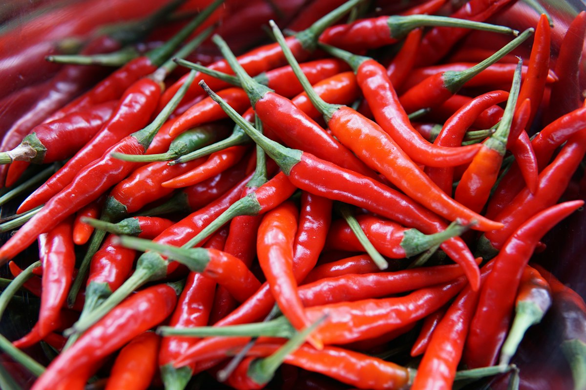 Légumes riches en vitamines
